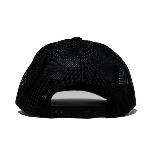 TEAM LOGO CAP